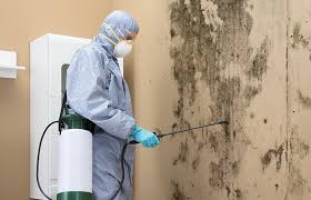 Mold Removal for HVAC Installations in Union Springs, AL